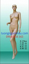 Kích vào đây để xem hình lớn