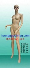 Kích vào đây để xem hình lớn