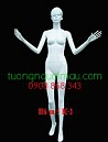 Kích vào đây để xem hình lớn