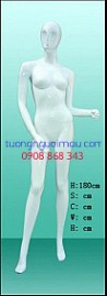 Kích vào đây để xem hình lớn