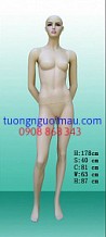 Kích vào đây để xem hình lớn