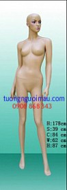 Kích vào đây để xem hình lớn