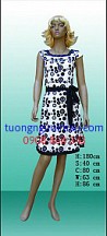 Kích vào đây để xem hình lớn